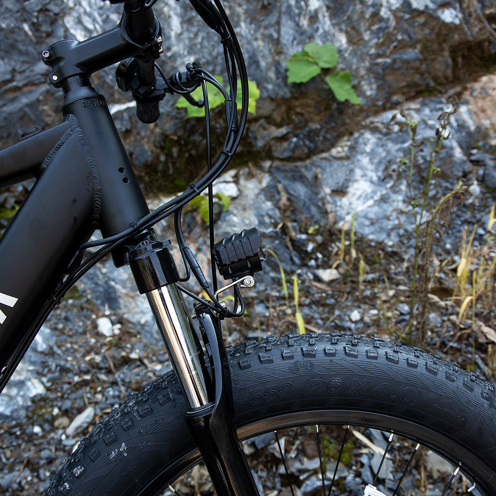 1000W Fat Tire Electric Bike for Adults - 26x4.0 Mountain E-Bike